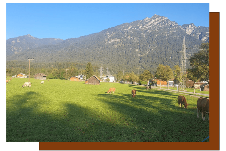 Impact of Grassland Management on Carbon and Nitrogen Cycling: Field and Modelling Studies